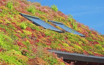 Heath Lanes living roof systems